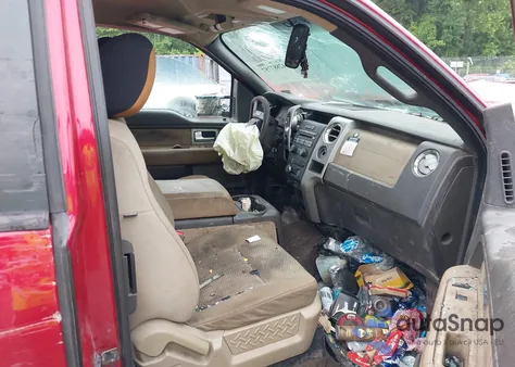 2010 Ford F-150 Stx/Xl/Xlt z USA, uszkodzony, nr VIN 1FTEX1E87AFD31498